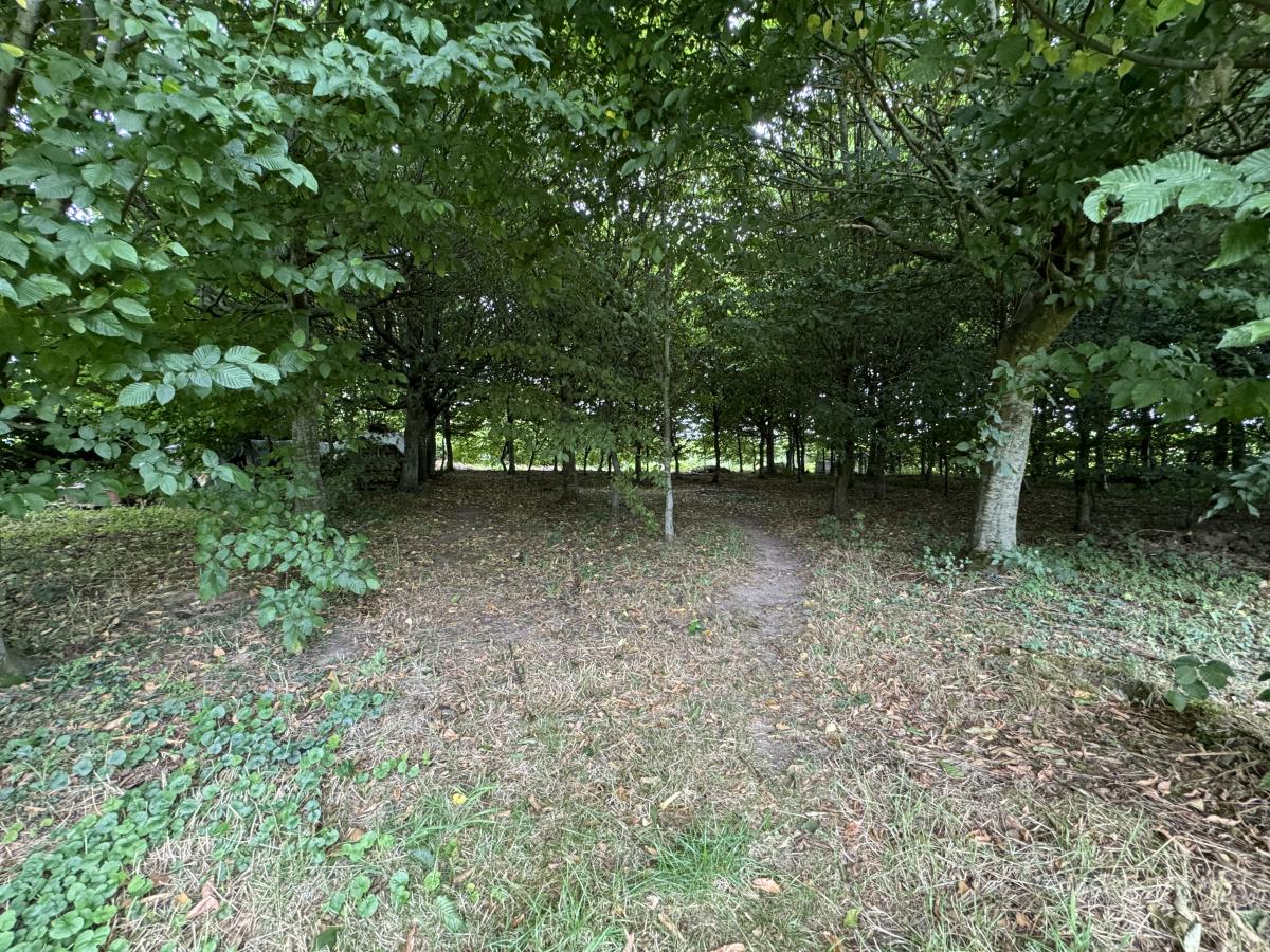Pavillon individuel de plain pied de 1999 campagne Le Quesnoy